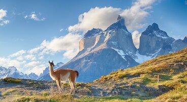 The Magic Of Patagonia