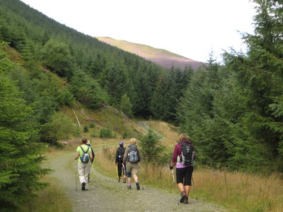 Walking group of women walking on stone path towards pine forest in Lake District