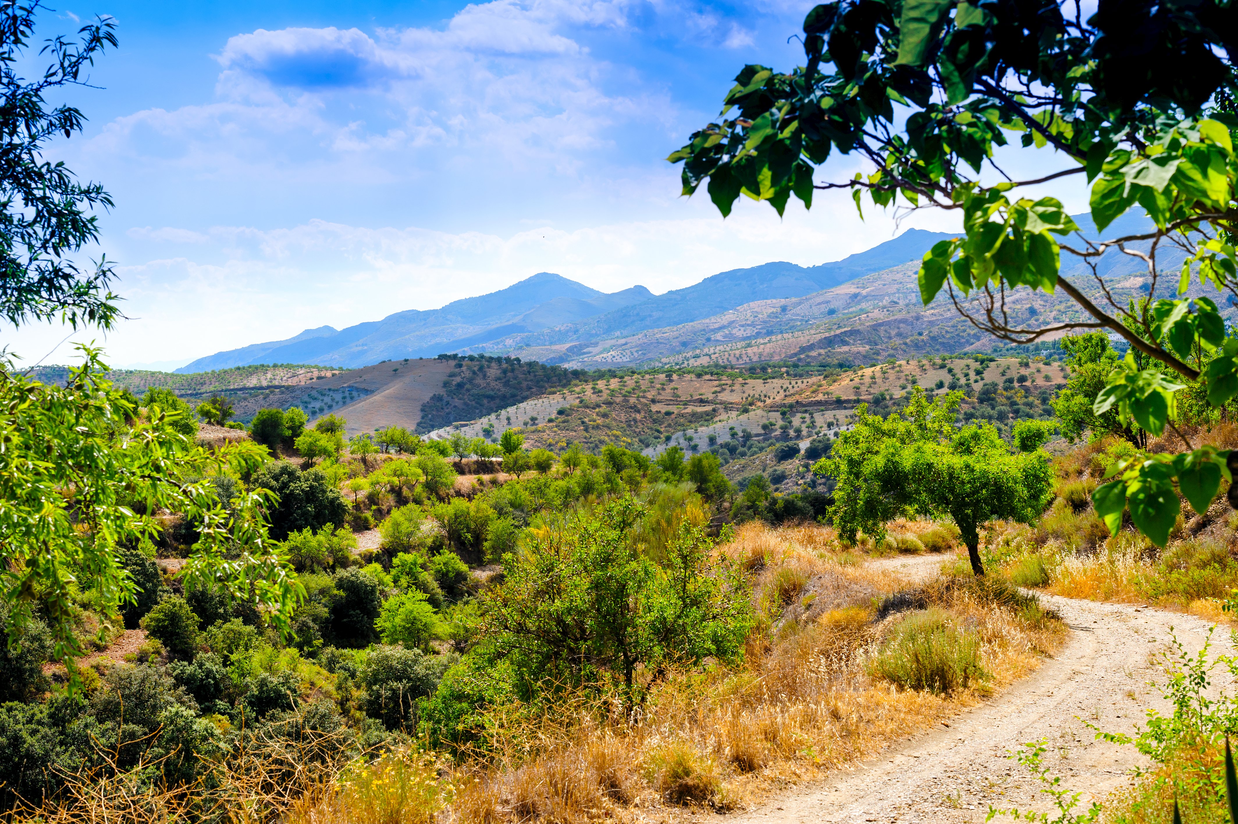 High In The Alpujarras