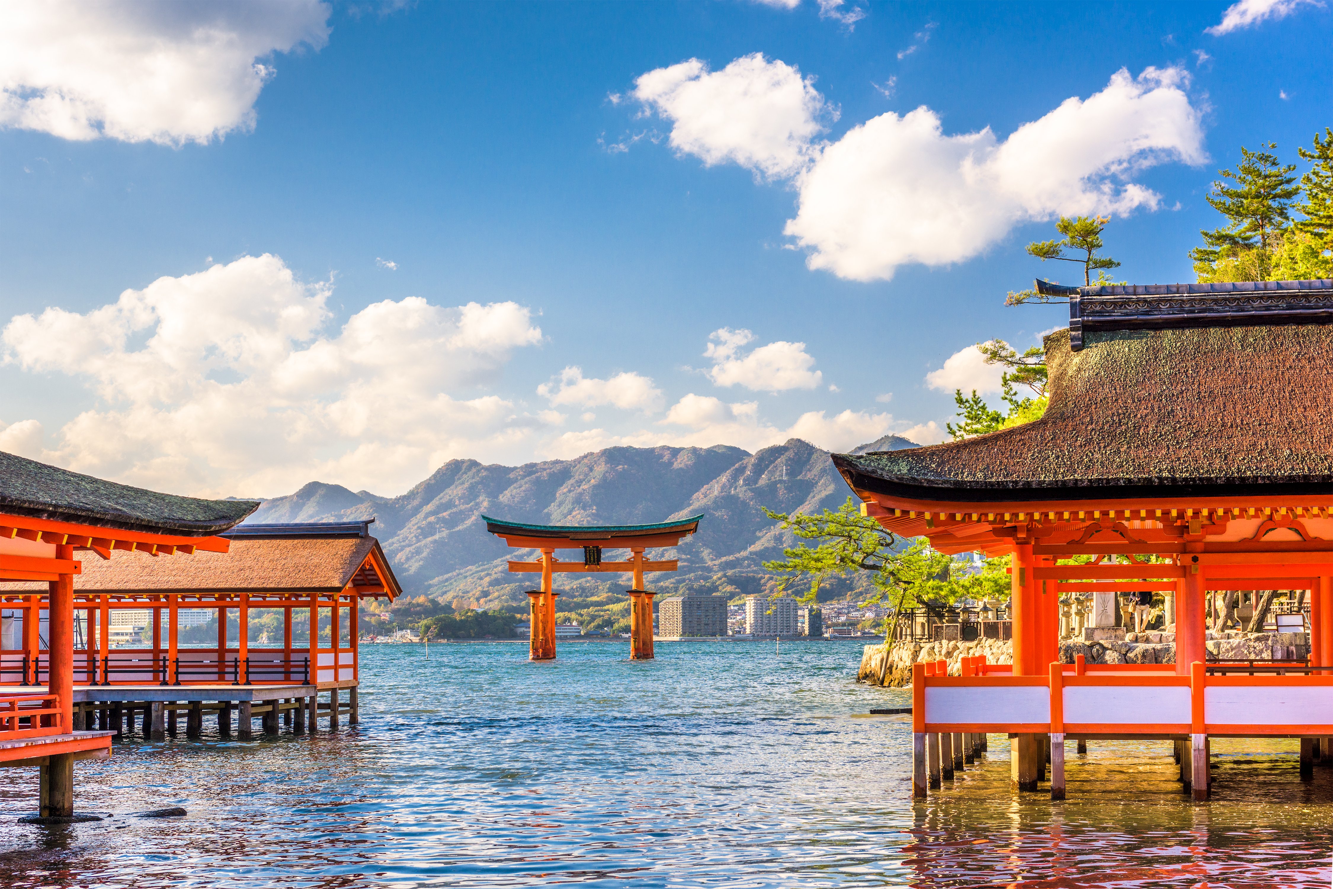 The Mystery of Japan