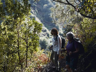 Two female hikers on Ramble Worldwide walking holiday smiling and standing on walking trail with trekking poles in hand and trees with sunlight shining on them growing close by, La Gomera, Canary Islands, Spain