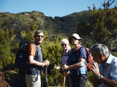 Small group of walkers surrounded by green bushes and pausing conversation during break to notice camera, Tenerife, Spain