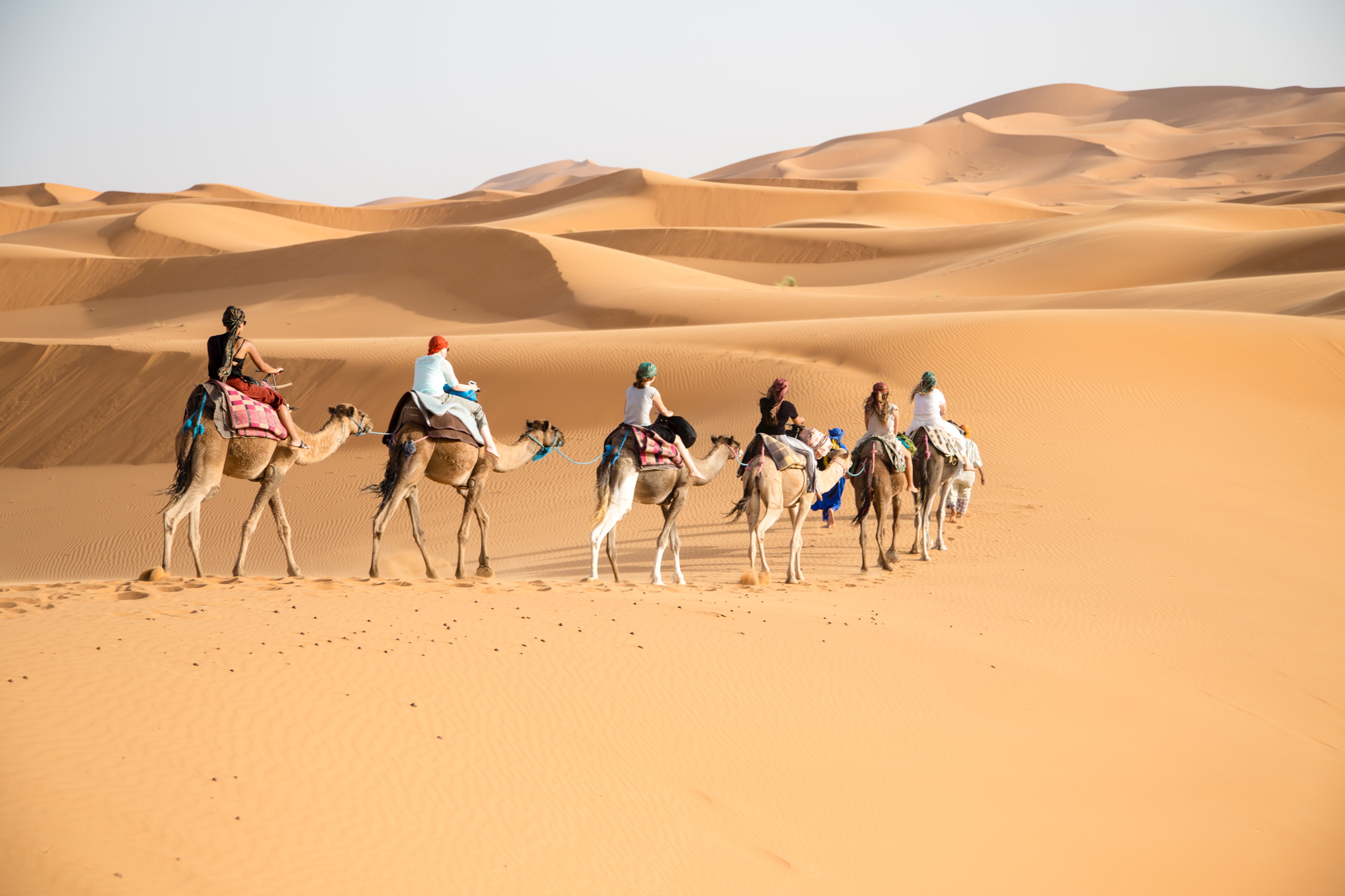 Morocco: Desert & Mountain
