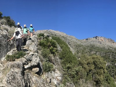 Four ramblers descending rocky path in mountainous area of Sierra de las Nieves on sunny clear blue sky day, Andalucia, Spain