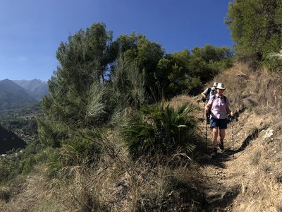Two hikers descending towards camera on from hill pathway with trees and bushes growing close by, Sierra de las Nieves, Andalucia, Spain