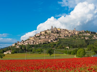 Medieval town Trevi in Umbria region, central Italy, during the spring and flowering of poppies