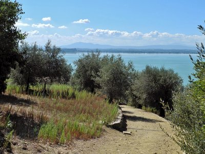 Downhill gravel footpath bending into distance with Trasimeno Lake in background, Isola maggiore, Italy