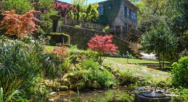 Discover the Rias Baixas