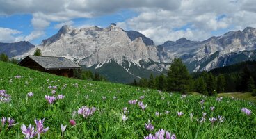 Due Settimane in the Dolomites