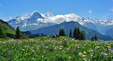 The Lazy Alps