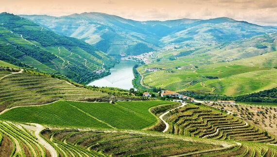 Vineyards and landscape near Pinhao town, Portugal 
