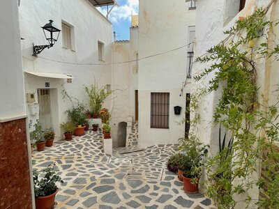 White buildings forming a cobbled alley with potted plants and flowers, Sierra de las Nieves, Spain