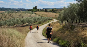Via Francigena - From Lucca to Siena (Self-Guided)