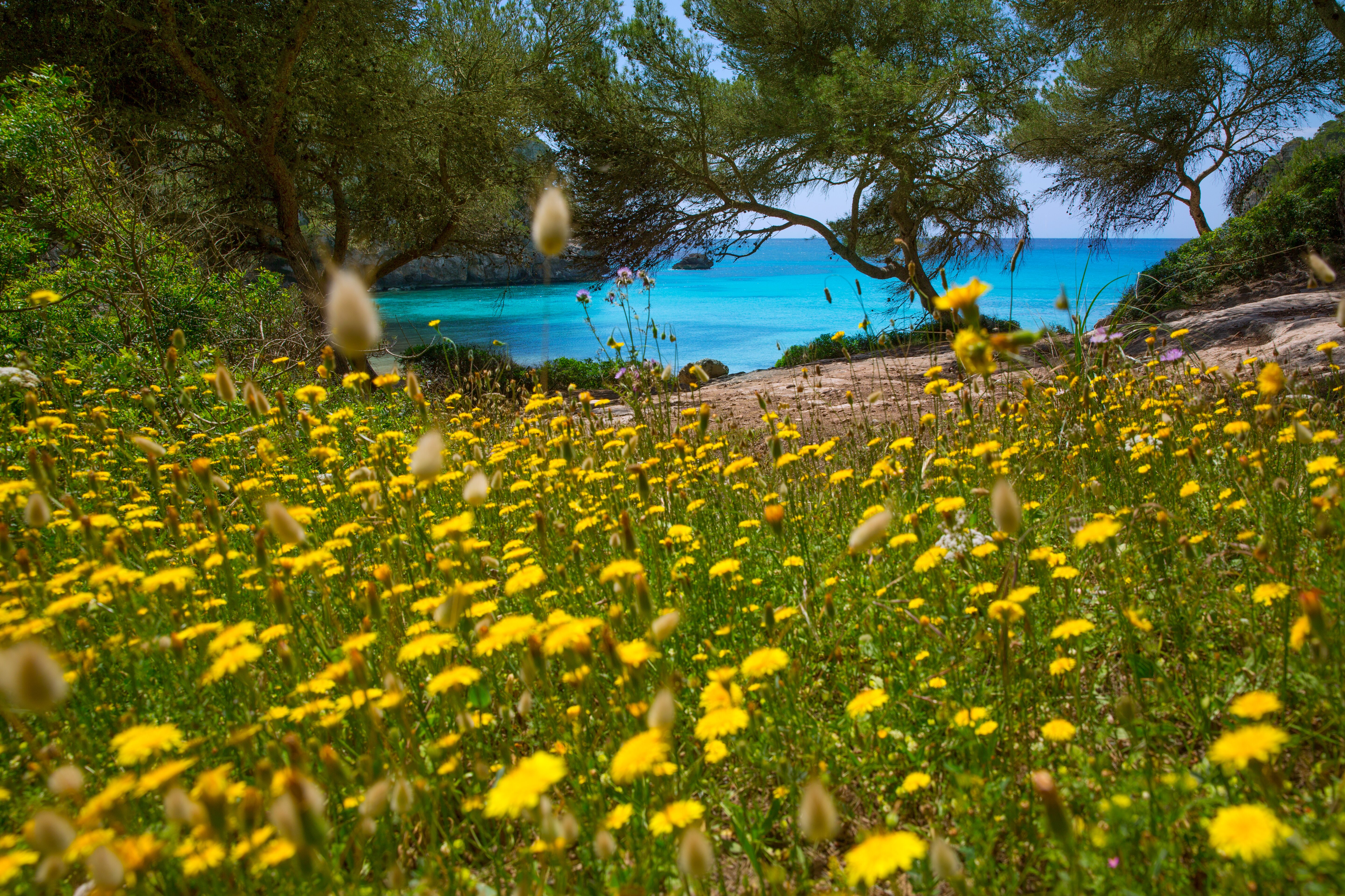 Coast & Countryside Of Menorca