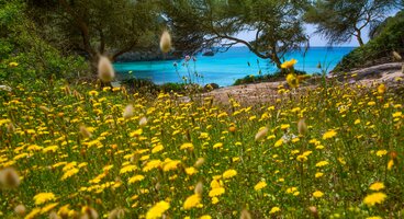 Coast & Countryside Of Menorca