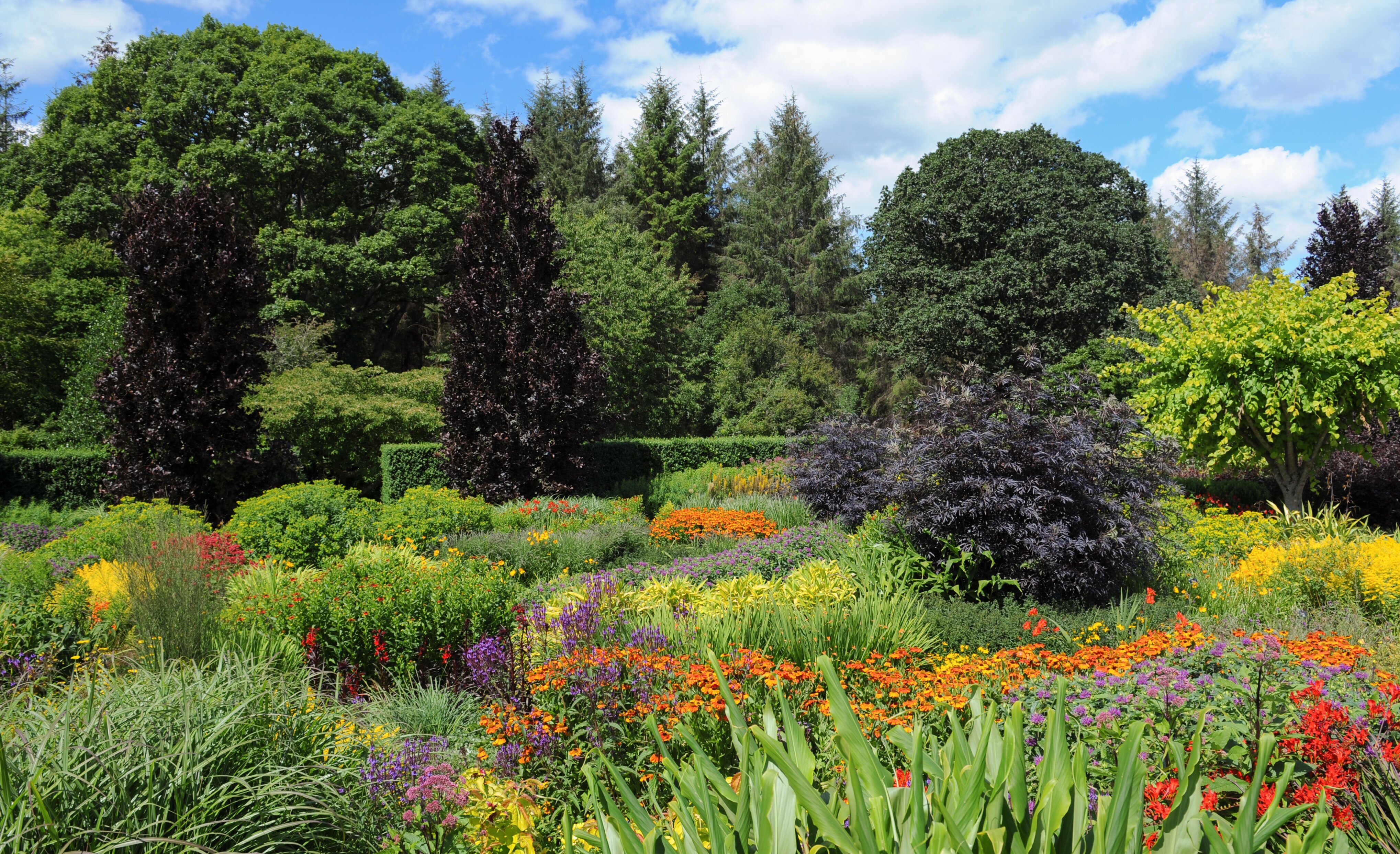 North Devon Gardens