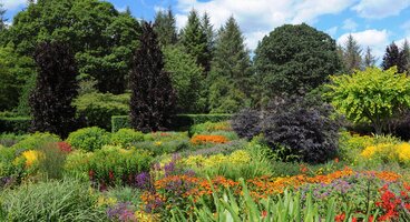 North Devon Gardens