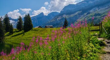 Les Diablerets