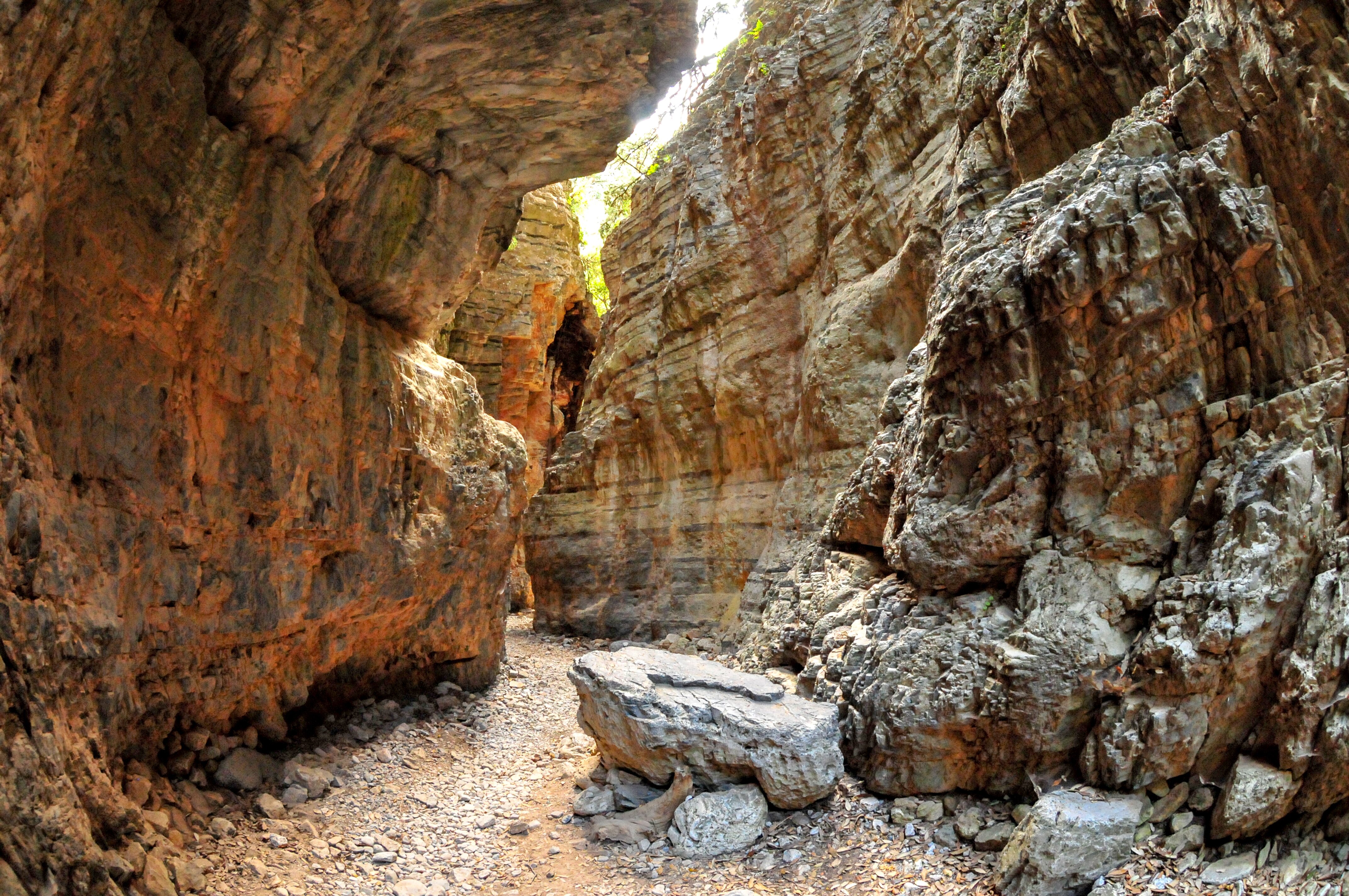 Cretan Trails & Tavernas