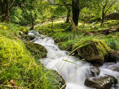 Stream near New Bridge in Borrowdale Valley on Cumbria Way path