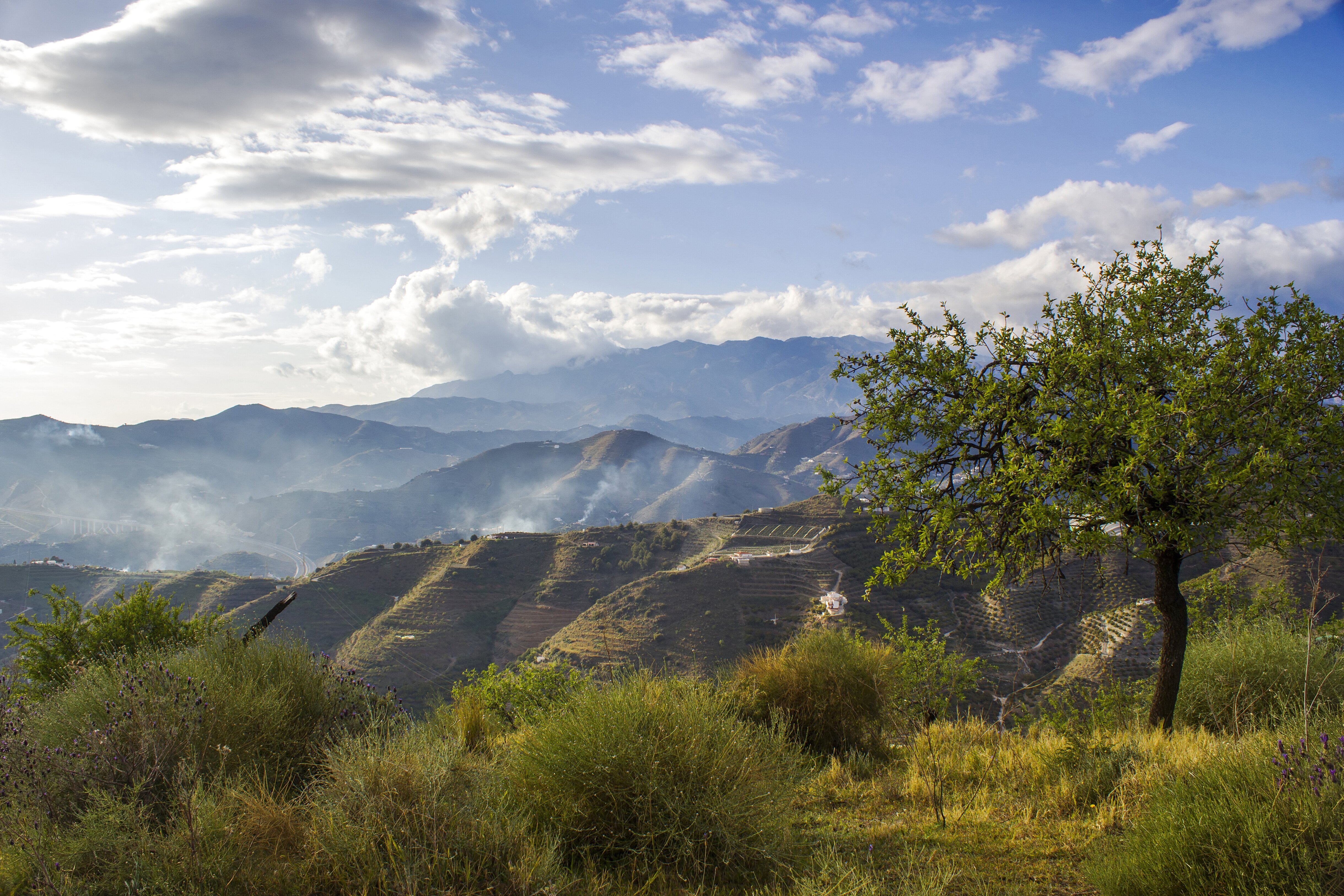 Walking from Competa