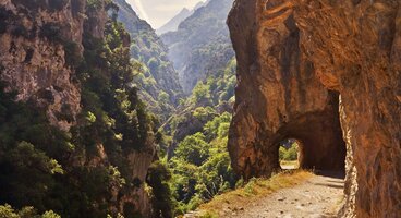 Picos De Europa