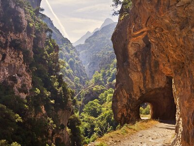 Canyon of Cares with trees and shrubs growing on mountainsides with path leading down to short rock tunnel in distance, Picos de Europa, Leon, Spain, Europe