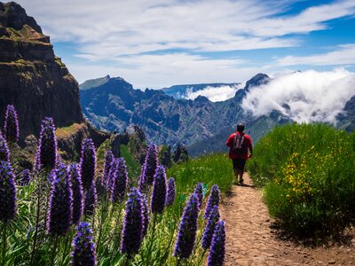 Man walking along pathway towards Pico Ruivo surrounded by flora and fauna in high mountain range, Madeira Islands, Portugal