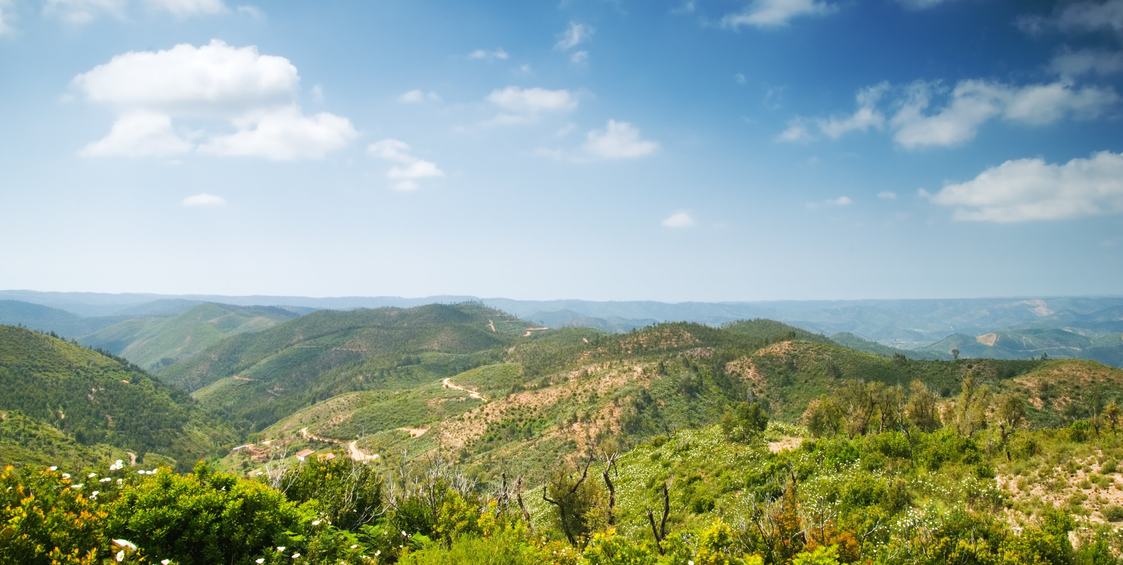 Along The Algarve Way
