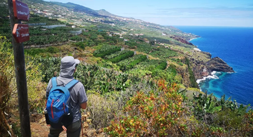 La Palma: Under the Stars (Self-Guided)