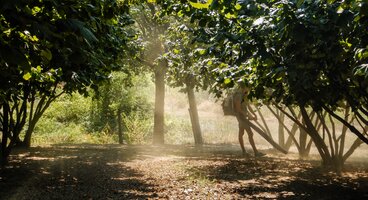 Piedmont: Wines and Cheeses of Italy (Self-Guided)