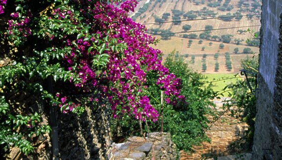 Alentejo