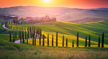 Tuscany's Treasures