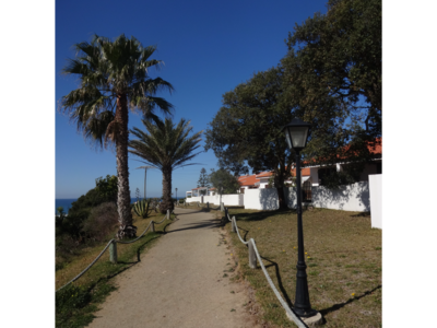 Guided coastal pathway with palm trees either side in Portugal, Algarve, Porto Covo