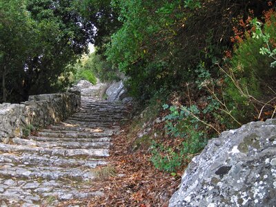 Cobblestone pathway in Pelion, Greece