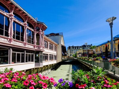 Flowers in foreground with green water rushing beneath in Chamonix on sunny day, France