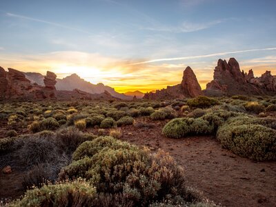 Tall rocks and green bushes amidst landscape of Teide National Park during sunrise, Tenerife