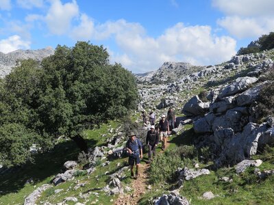 Group of walkers passing through rocky dirt path, Sierra de Grazalema