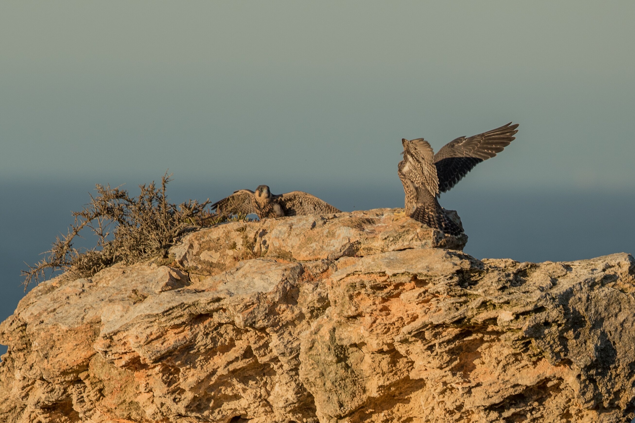 tourhub | Ramble Worldwide | Along The Algarve Way 
