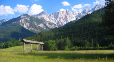 Kranjska Gora valley with long green grassy fields and pine covered mountains with snow-capped mountains in background, Slovenia
