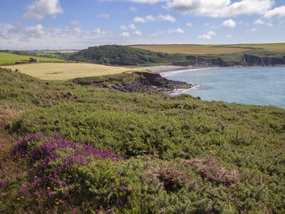 Aber Mawr, Pembrokeshire, Pembrokeshire, Wales, Great Britain