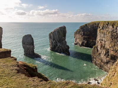 Elegug Stack Rocks near Castlemartin in Pembrokeshire, Wales, UK