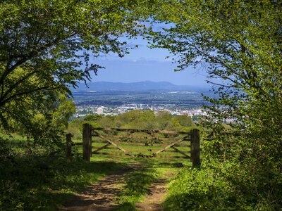 Landscape of green fields and blue skies shown through archway of green branches along the Cotswold way