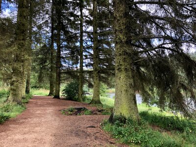 Woodland walking trail around the Cod Beck reservoir close to Osmotherley village, North Yorkshire