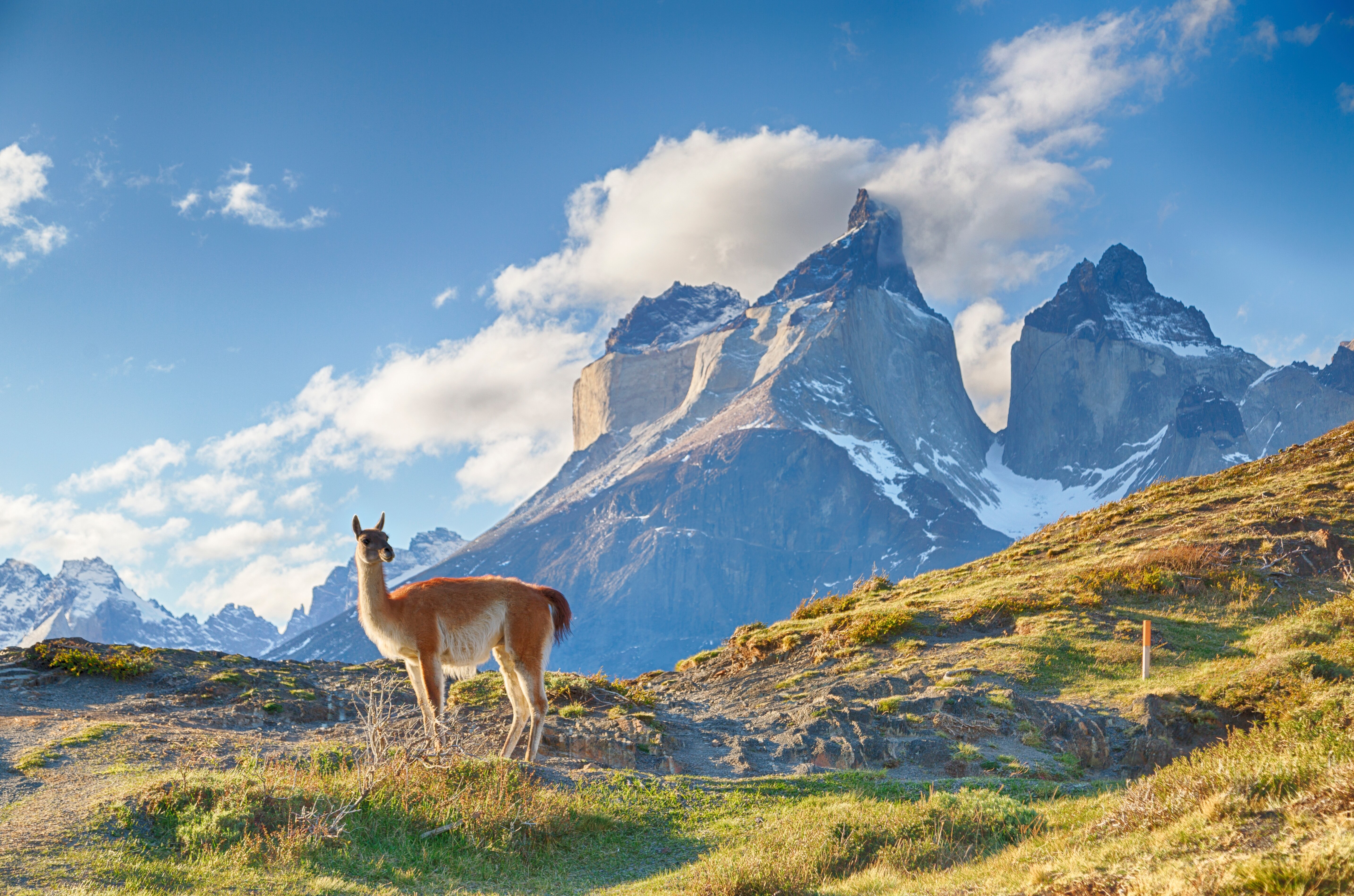 The Magic Of Patagonia