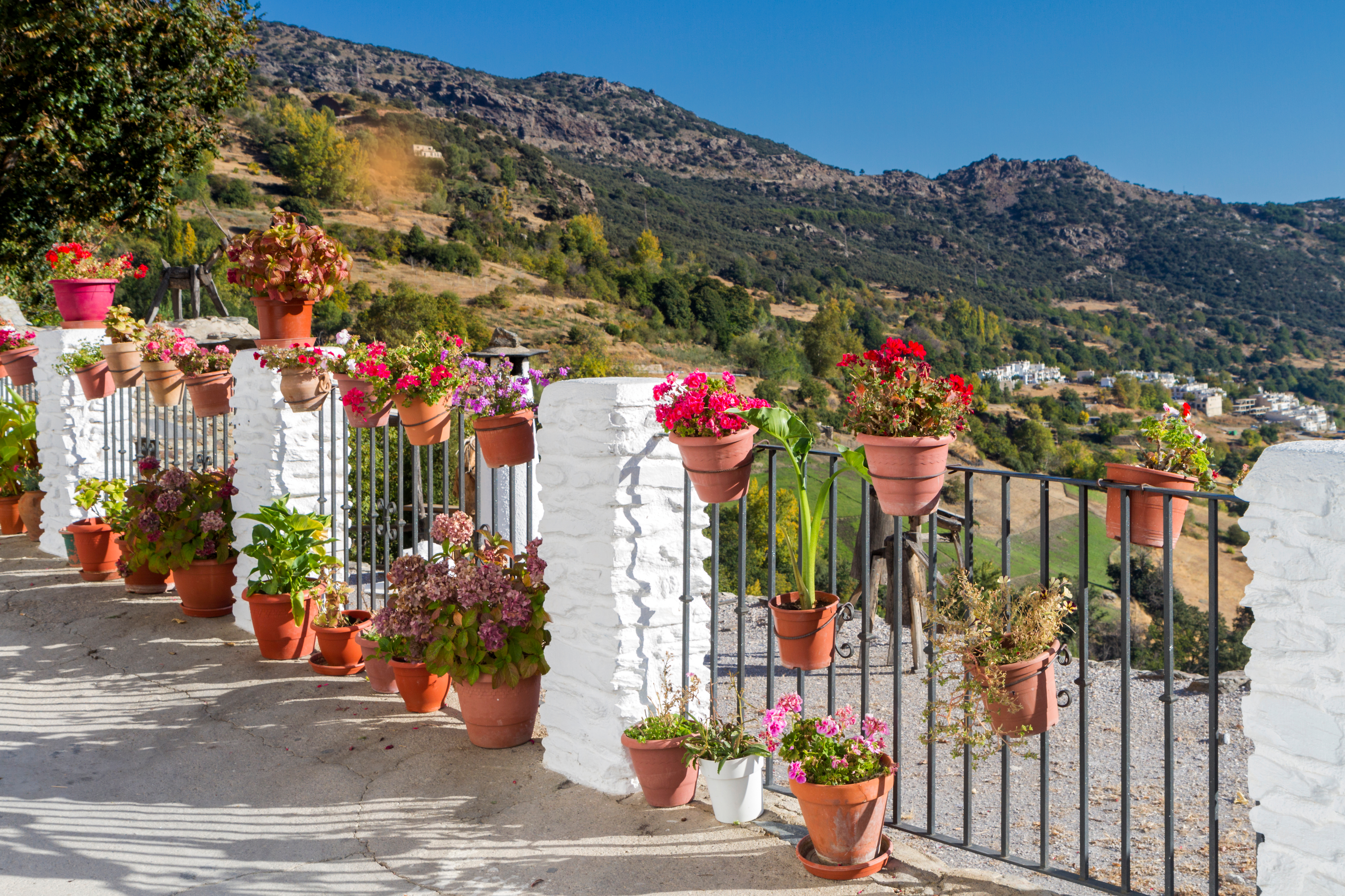 Discover Spain's Sierra Nevada National Park