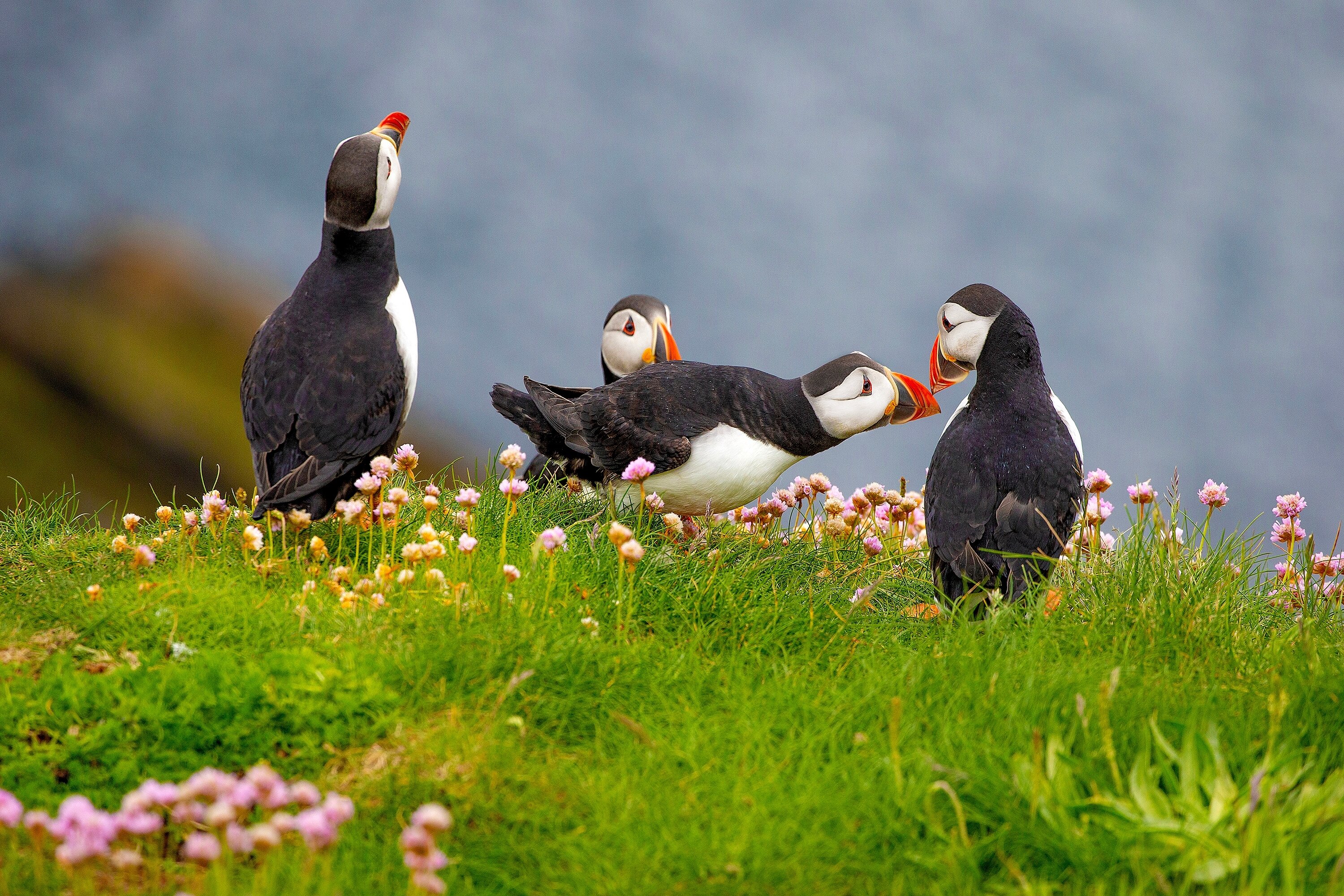 The Shetland Archipelago