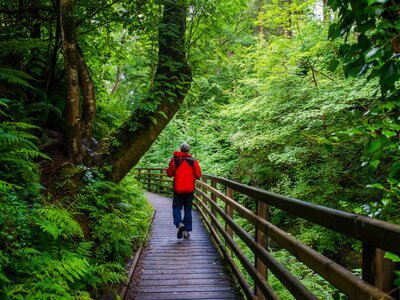 Waterfall Trail at Glenariff Forest Park Hiking in Northern Ireland, Causeway Coastal Route