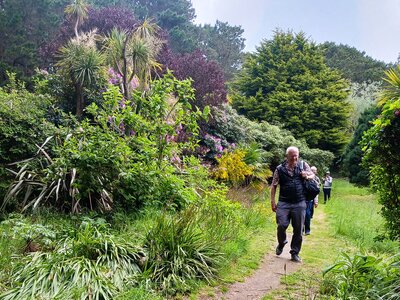 Walking along pathway with various plants and flowers, Scilly isles