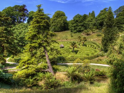 Glendurgan garden, Falmouth, Cornwall